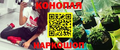 трава Малгобек